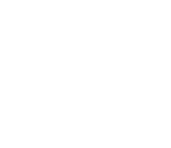 Ville de Troyes